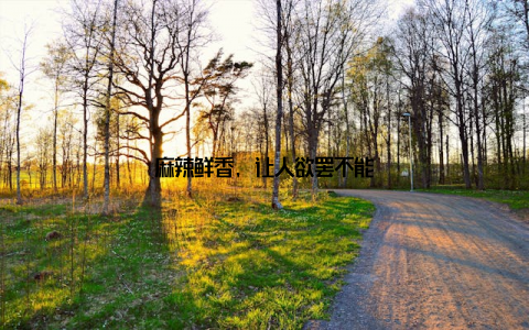 麻辣鲜香, 让人欲罢不能