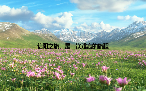 信阳之旅, 是一次难忘的旅程