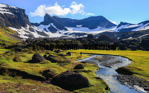 利用优惠券和折扣, 享受购物优惠